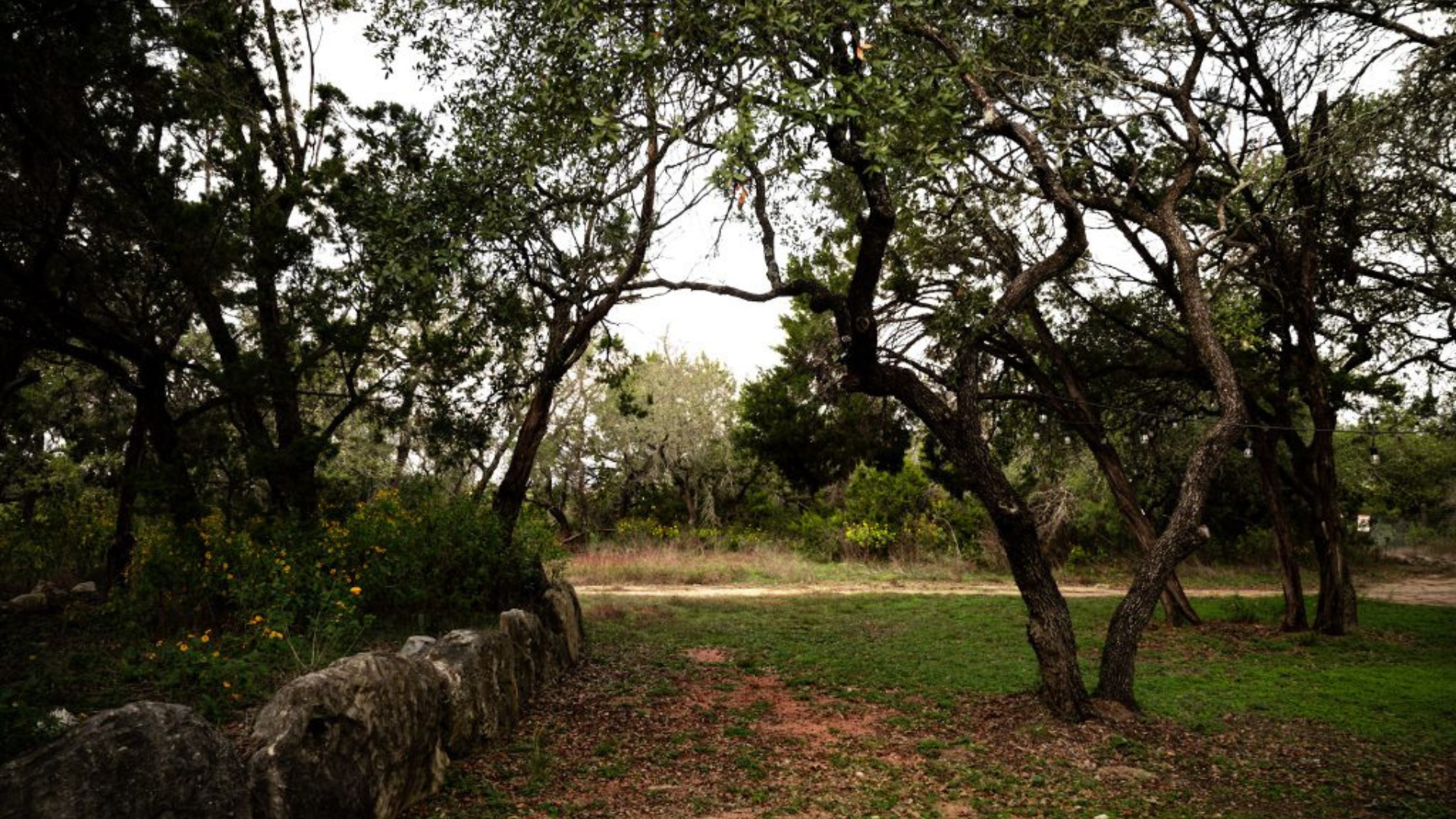 Beyond Traditional Therapy: How Austin’s Within Center is Pioneering Healing Through Awe and Connection