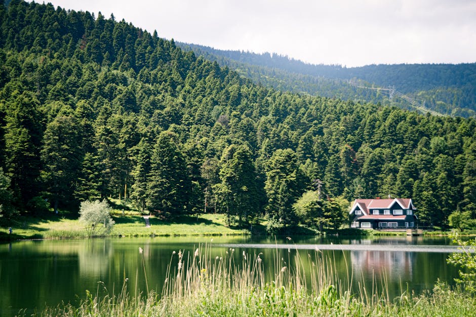 peaceful, nature-inspired retreat setting - wellness retreat Austin peaceful, nature-inspired retreat setting - wellness retreat Austin