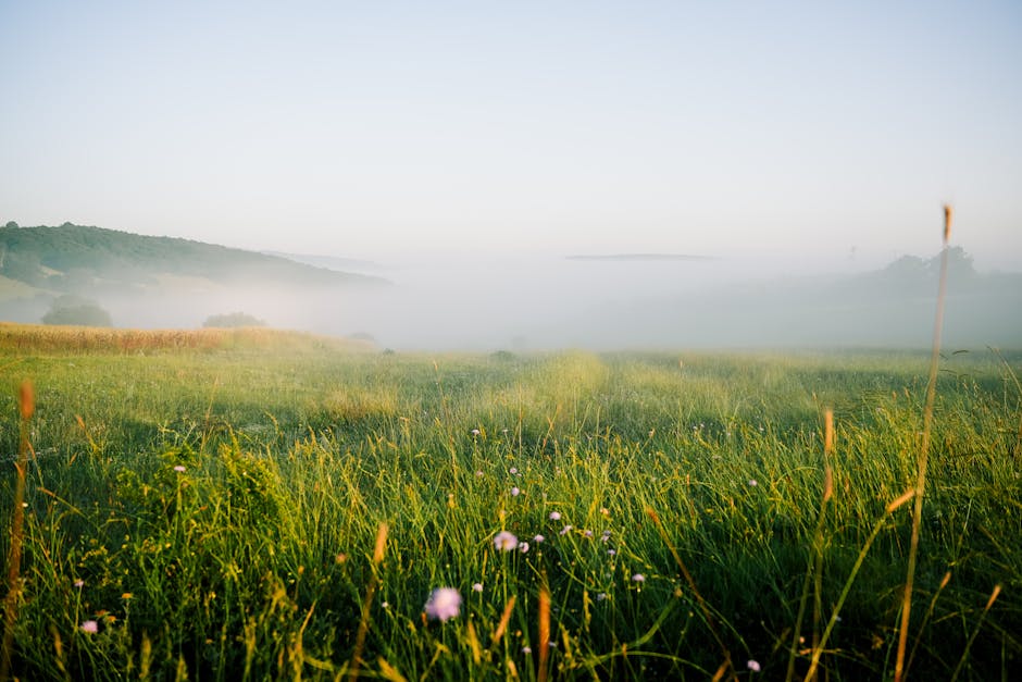serene landscape - depression anxiety retreat