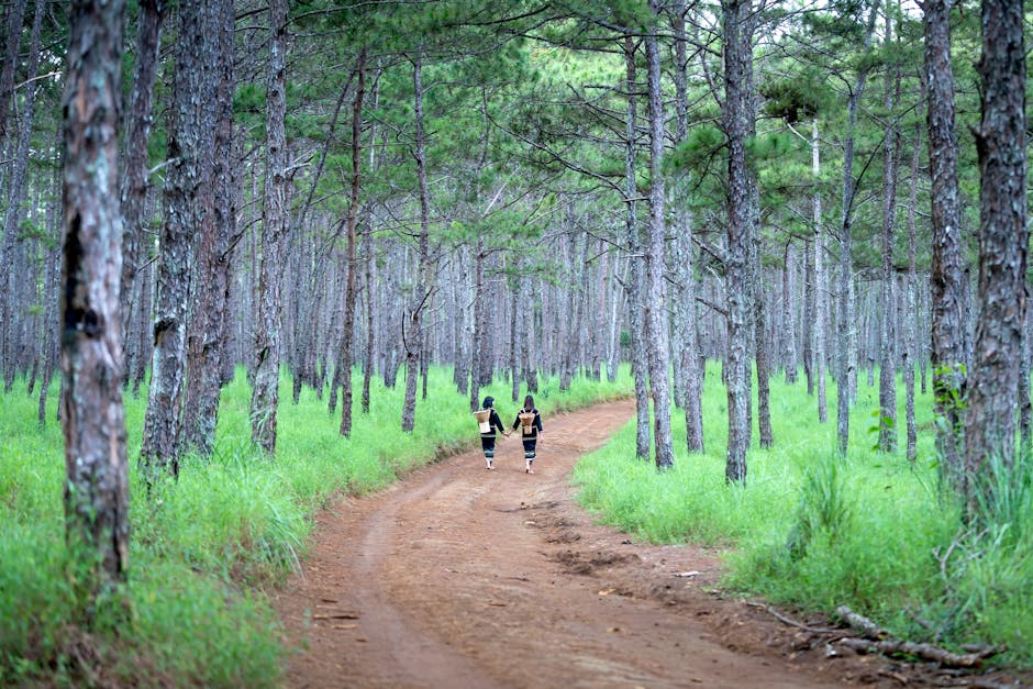 People engaging with a local cultural ceremony or hiking in a lush forest - transformative wellness experience People engaging with a local cultural ceremony or hiking in a lush forest - transformative wellness experience